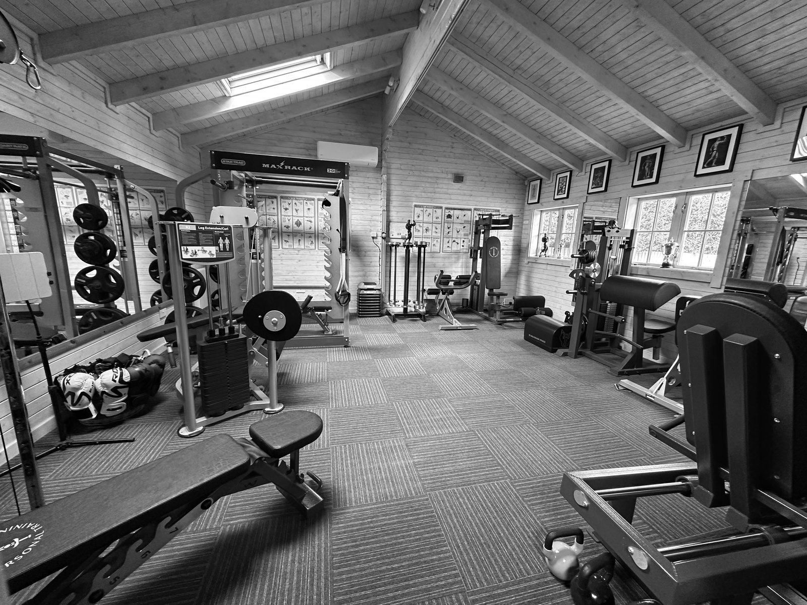 Interior of the private gym with professional strength machines, free weights and matted flooring